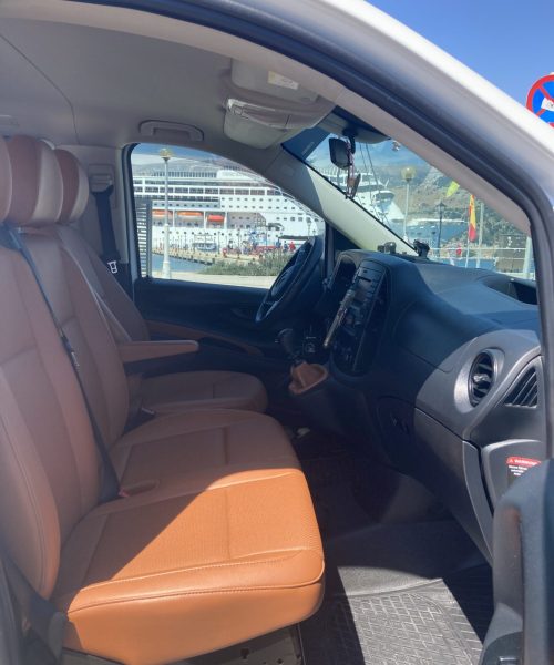 Mercedes Accessible Van